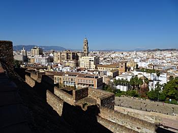 DSC01546_350